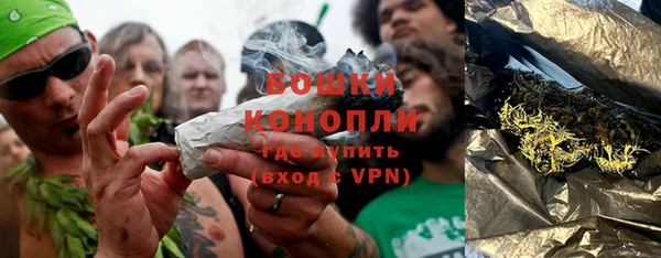 спиды Лиски