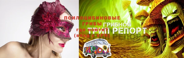 спиды Лиски