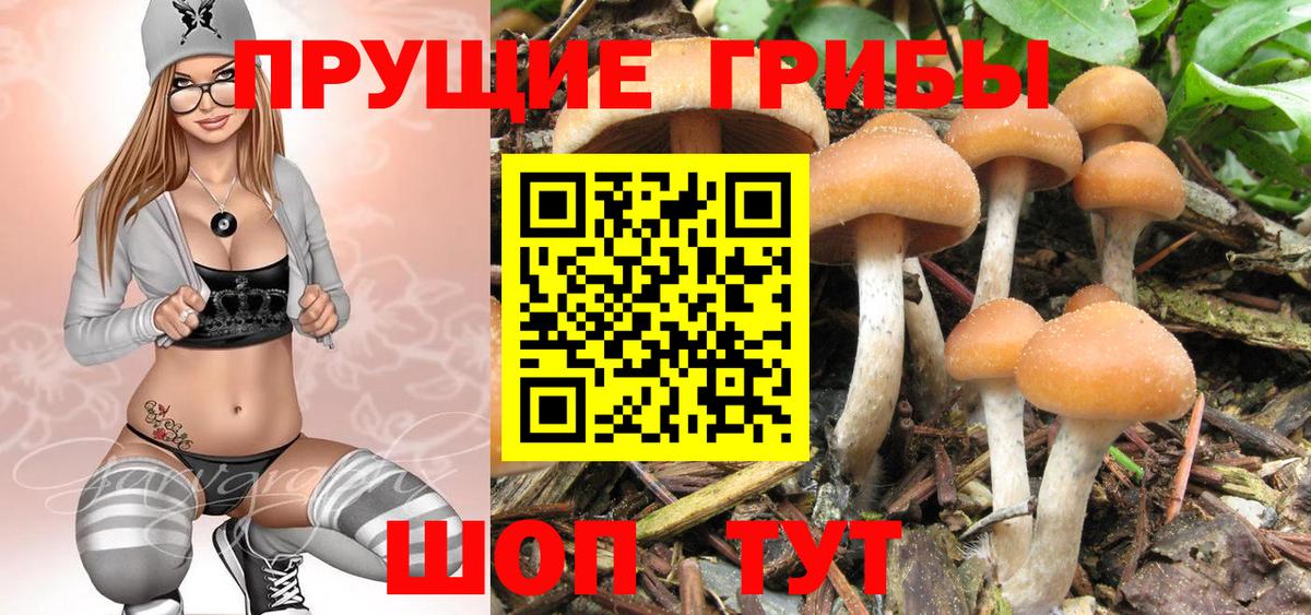 Псилоцибиновые грибы Psilocybe  Псилоцибиновые грибы мухоморы  Вход с VPN  Смоленск 